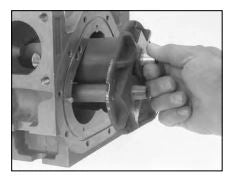 BEAR PLATE FOR M80 METER