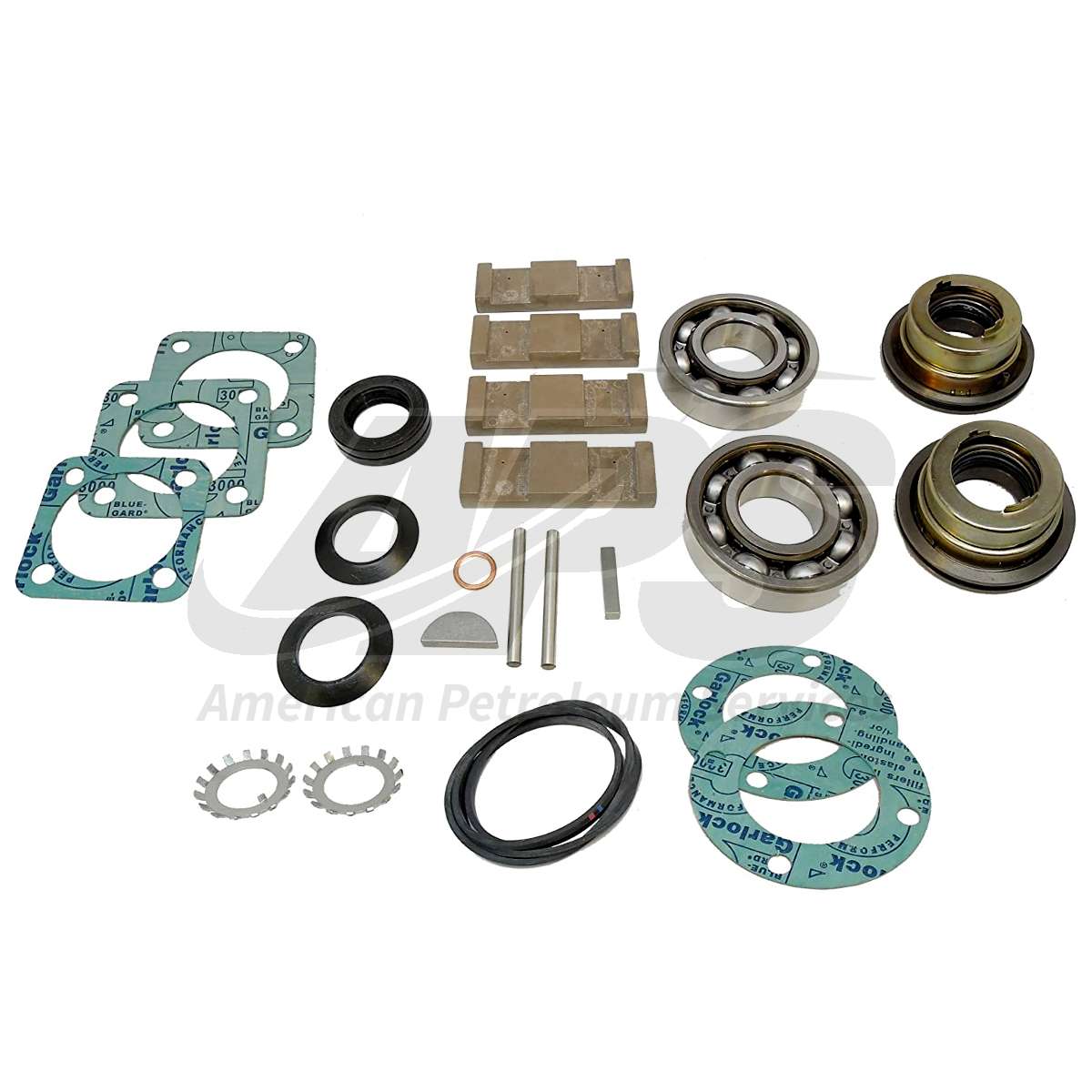 stainless-steel-and-buna-main-kit-for-txd2a-txd2-5a-blackmer-pump-2-inch