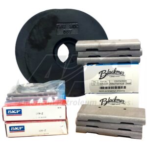 MAINTENANCE KIT FOR BLACKMER PUMP MODELS: LGLD2E, LGL2E, LGLD3F, LGL3F